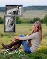 Bailey